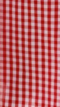 Brydie Halter Maxi Dress - Gingham Red