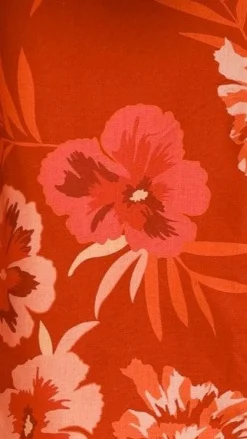 Canika Mini Dress - Red Floral