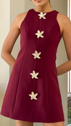 Daray Mini Dress - Burgundy/Star
