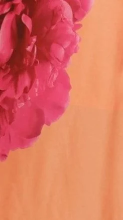 Emily One Shoulder Maxi Dress - Orange / Pink