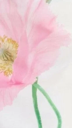 Nalanie Mini Dress - White Florals