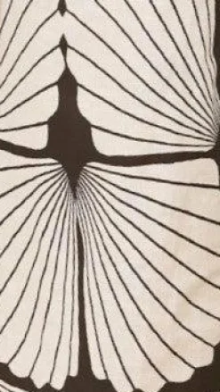 Paloma Maxi Skirt - Palm Canyon