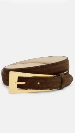 Stacey Belt - Chocolate / Gold