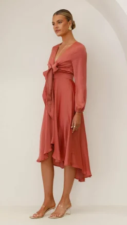 Starry Nights Dress - Baked Rose