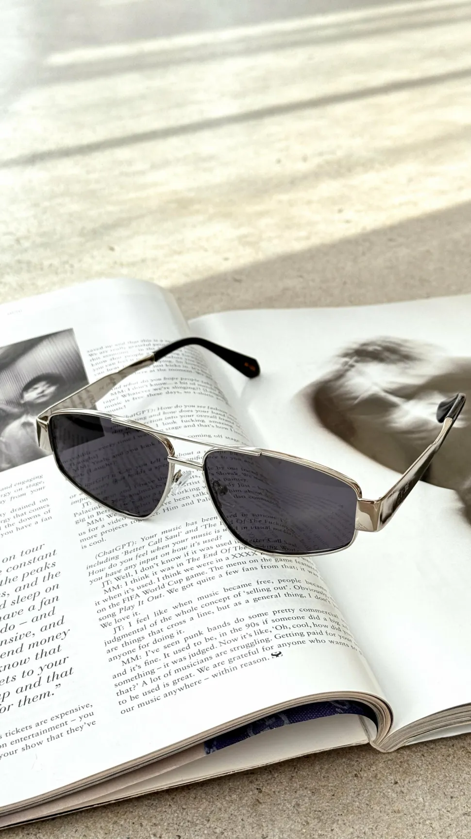 The Earle Sunglasses - Silver / Smoke