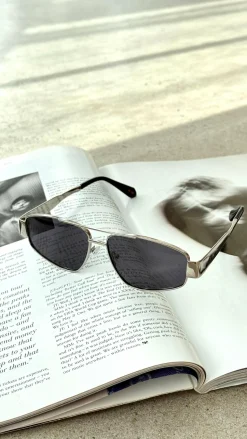 The Earle Sunglasses - Silver / Smoke