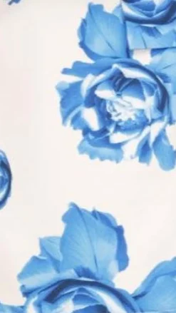 Thea Mini Dress - Blue Rose